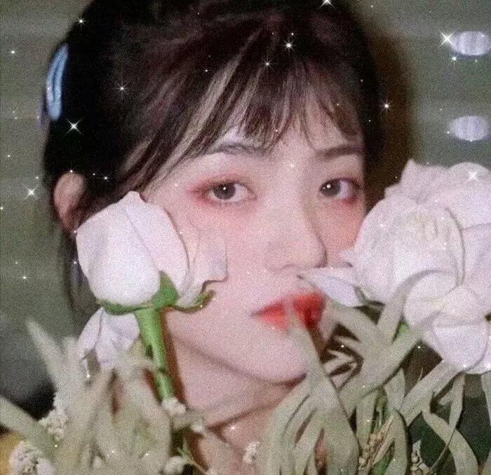 狗眼看人心