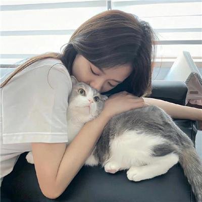 娇凤三姐妹